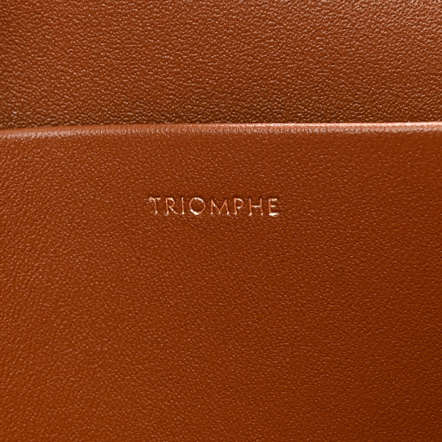 Celine Textile Calfskin Classique Triomphe Bag Natural Tan 7 of 14