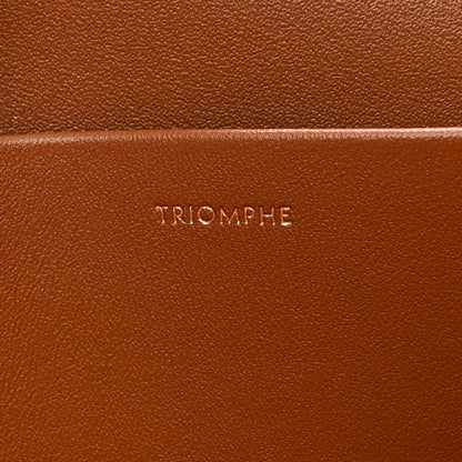 Celine Textile Calfskin Classique Triomphe Bag Natural Tan 7 of 14