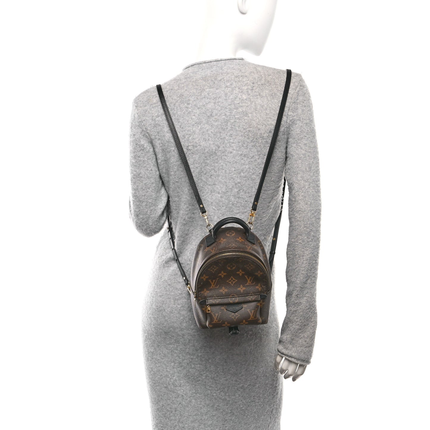 Monogram Palm Springs Backpack Mini