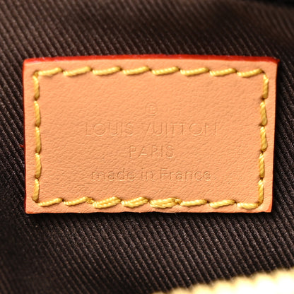 Louis Vuitton X TYLER THE CREATOR Monogram Craggy Dog On Strap Chocolate 6 of 10