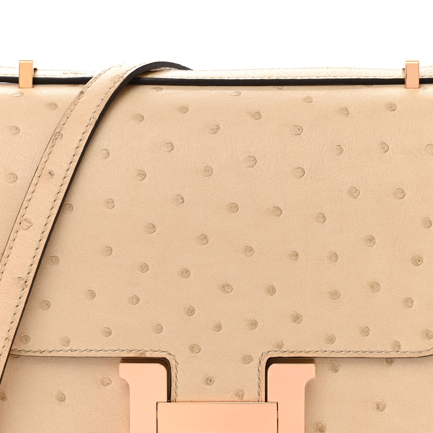 Ostrich Constance 18 Parchemin