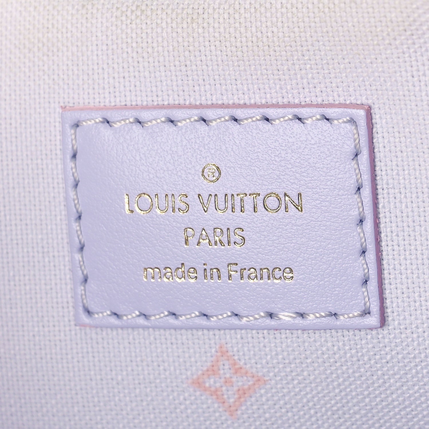 Louis Vuitton Monogram Giant Spring In The City Marshmallow Hobo PM Sunrise Pastel 6 of 8