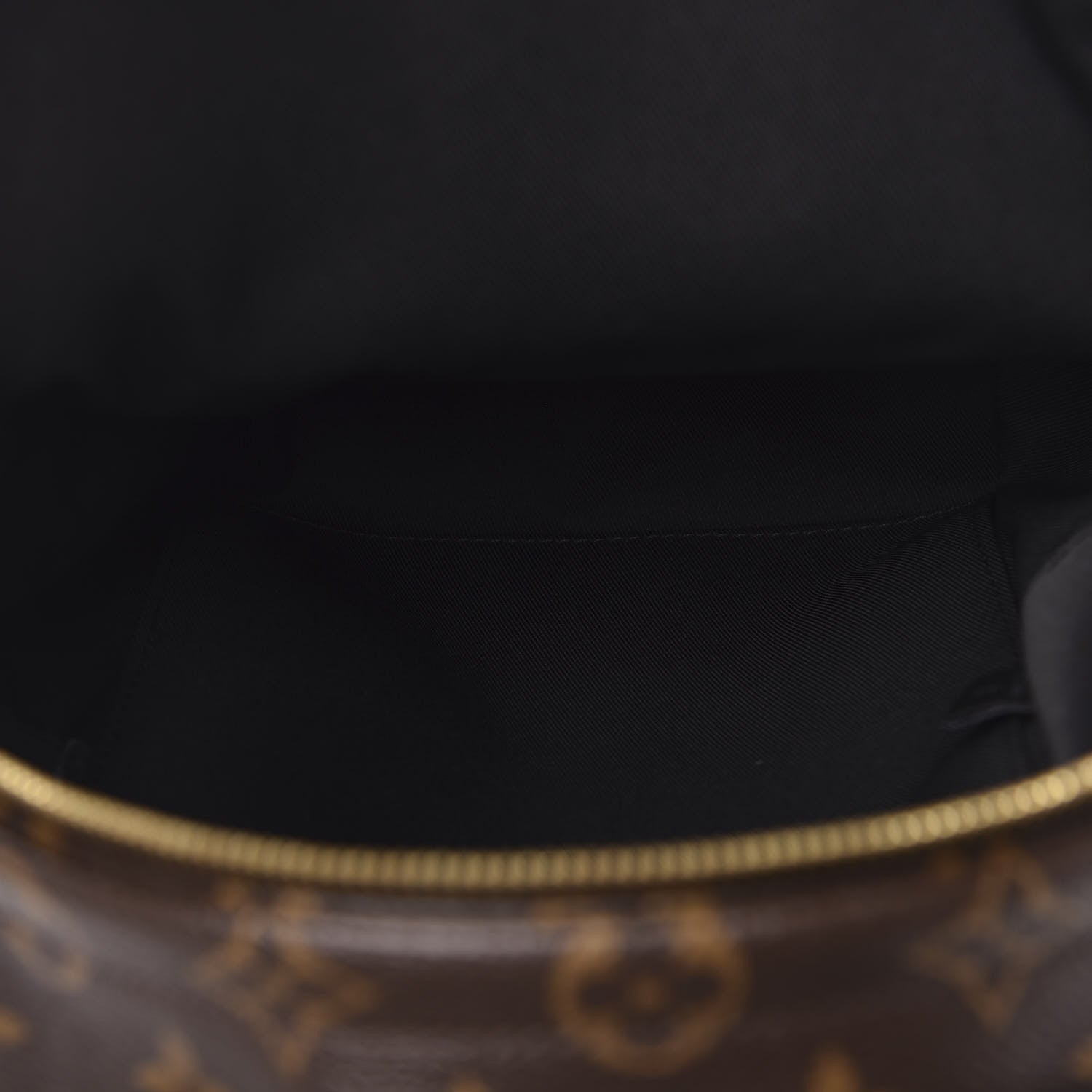 Louis Vuitton Monogram Palm Springs Backpack PM 4 of 9