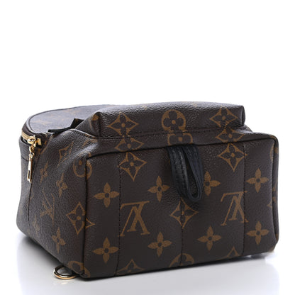 Louis Vuitton Monogram Palm Springs Backpack Mini 4 of 8