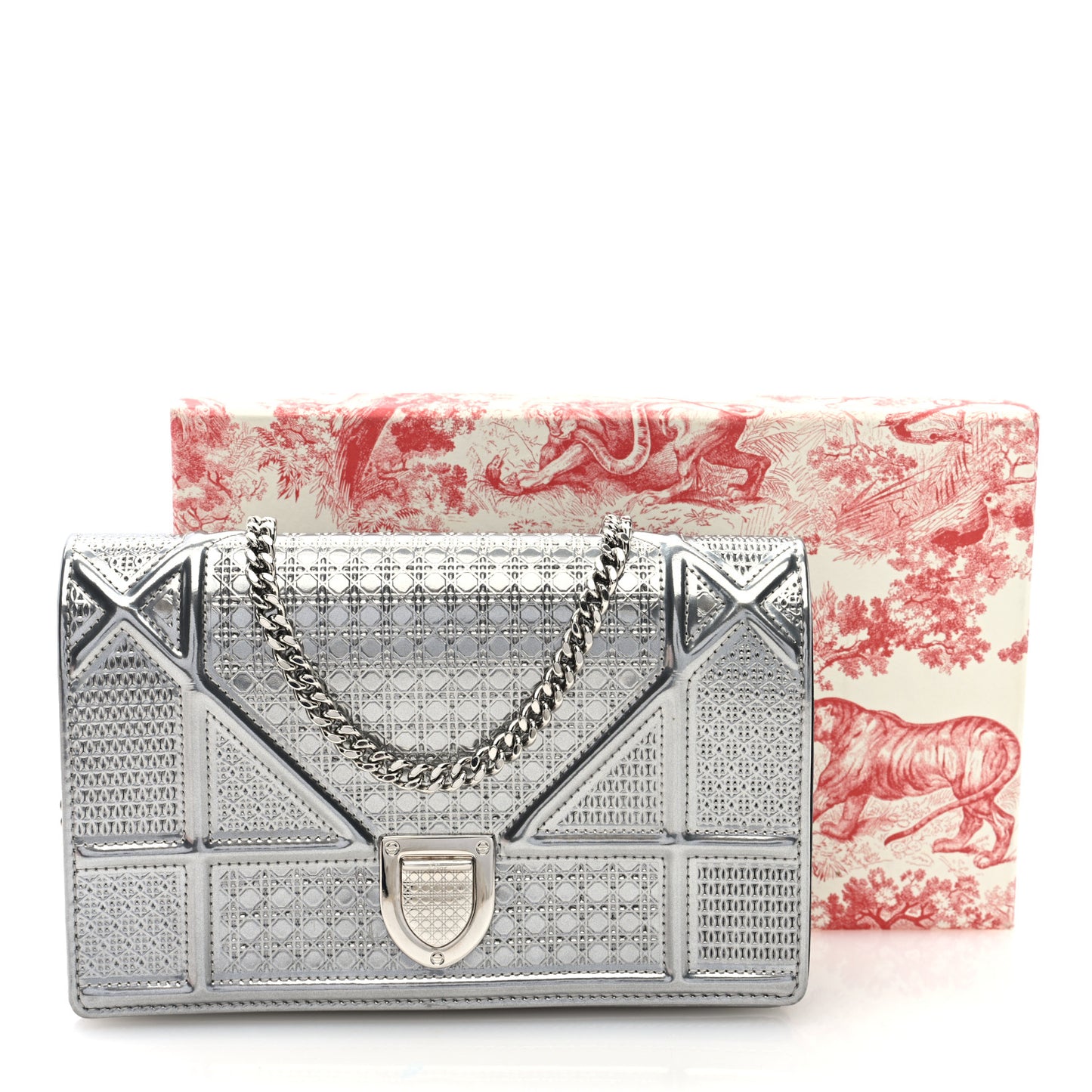 Metallic Patent Micro-Cannage Diorama Wallet on Chain Pouch Silver