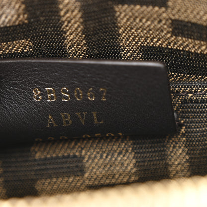 Fendi Vitello King Plexiglass Logo Embossed Mini By The Way Top Handle Boston Bag Tortora 7 of 11