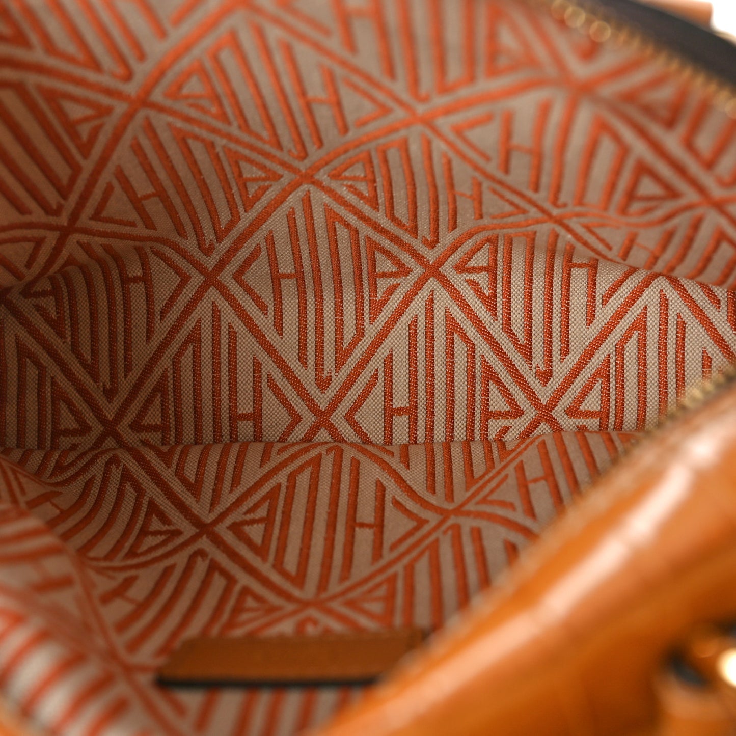 Calfskin Crocodile Embossed Small Daria Autumnal Brown