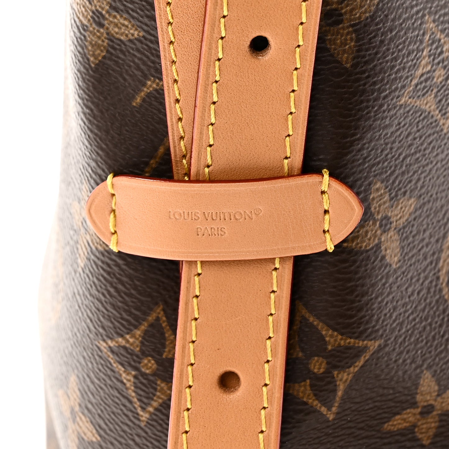 Monogram Carryall MM