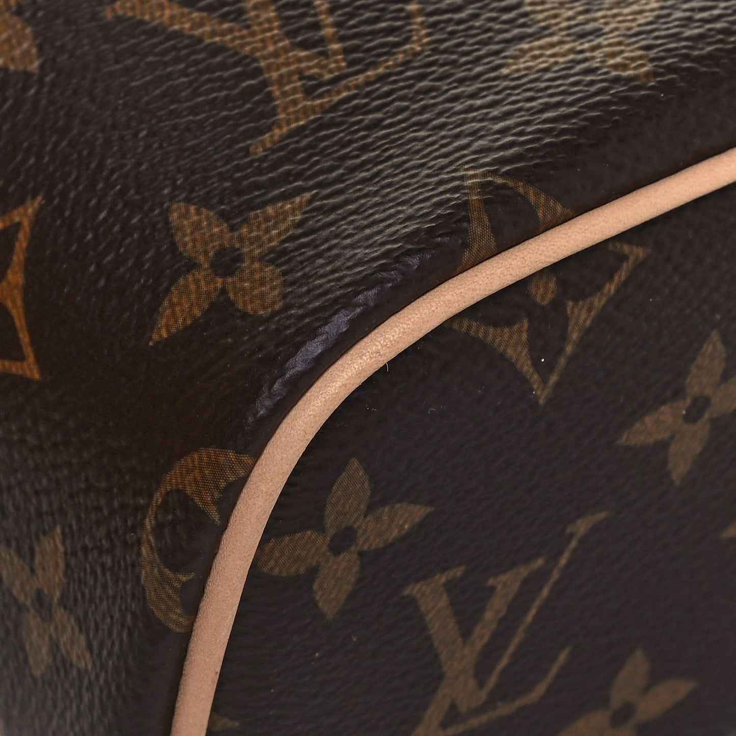 Monogram Nano Nice