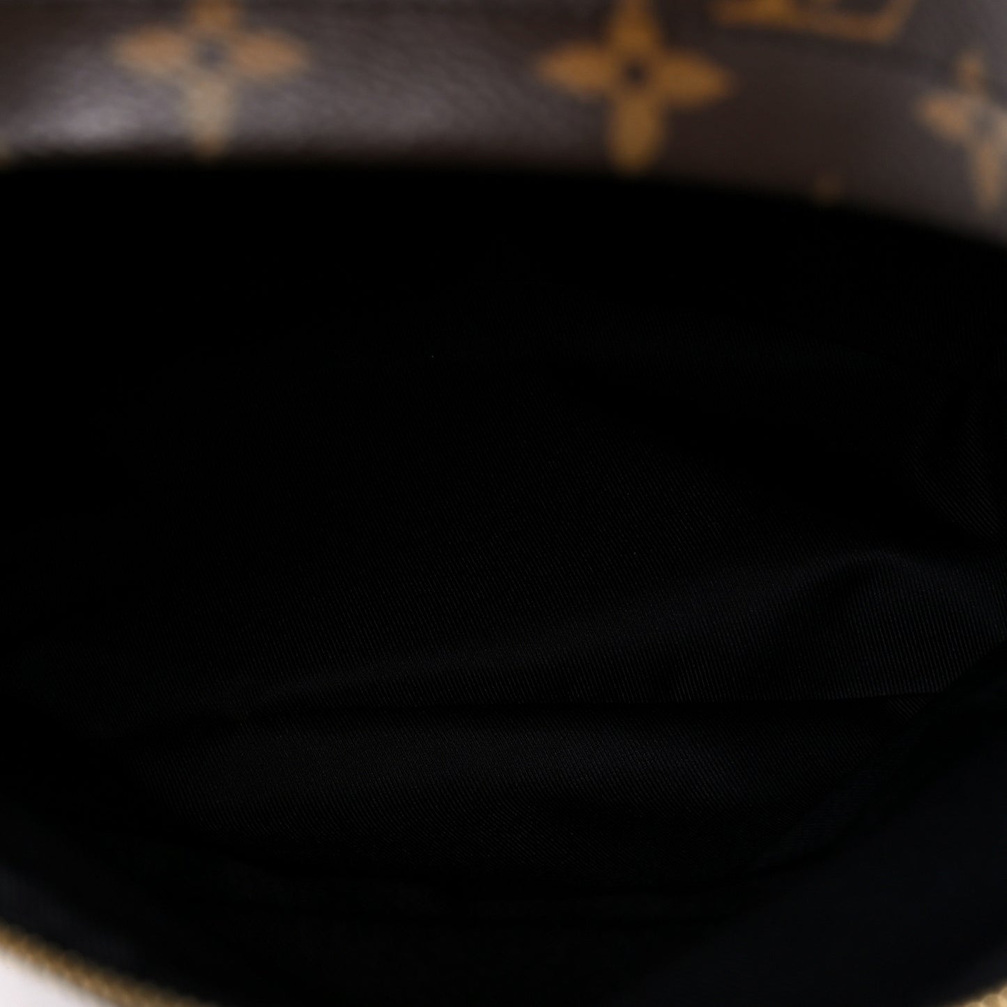 Monogram Palm Springs Backpack MM