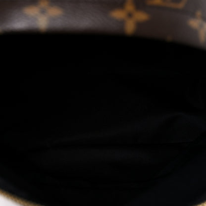 Louis Vuitton Monogram Palm Springs Backpack MM 5 of 10
