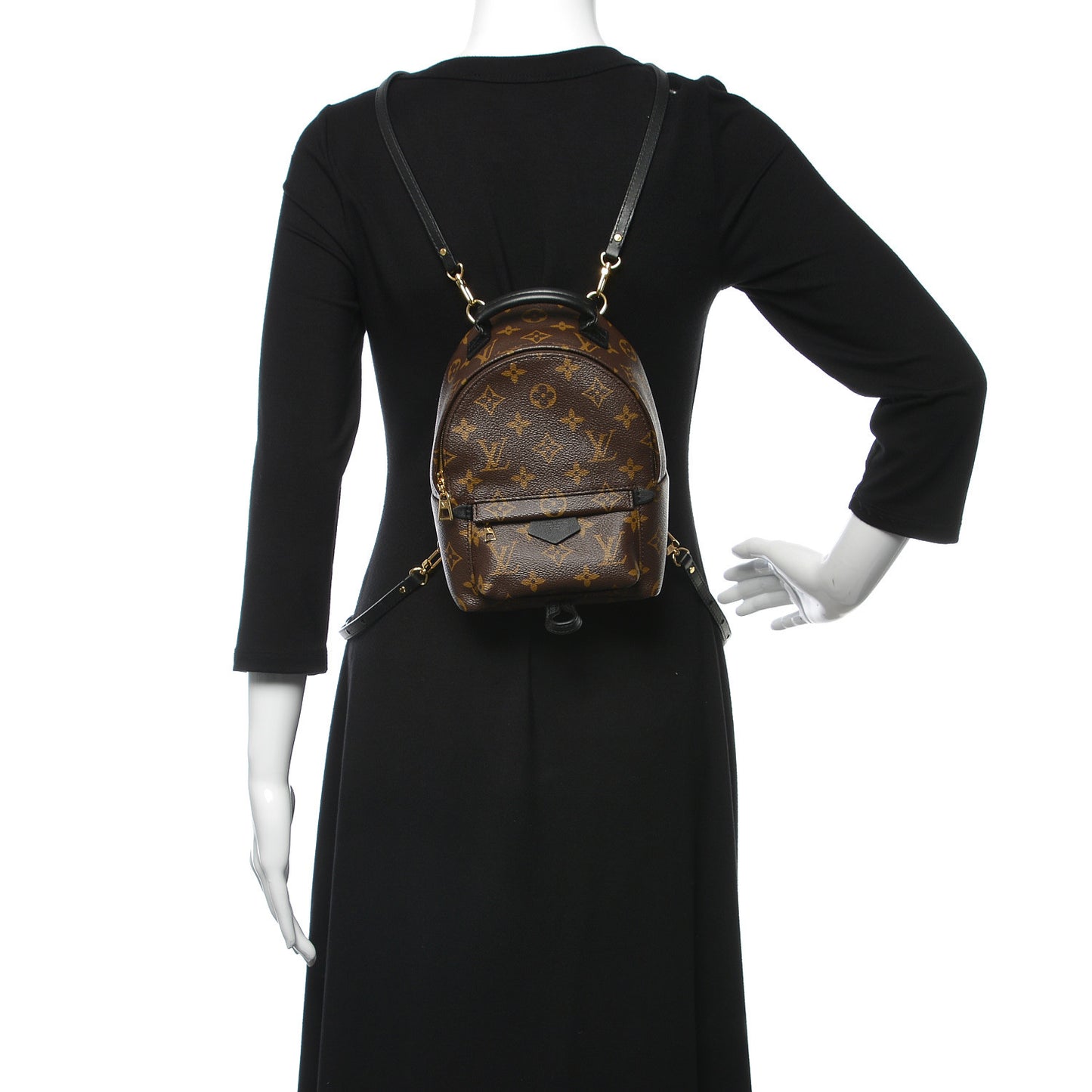 Monogram Palm Springs Backpack Mini