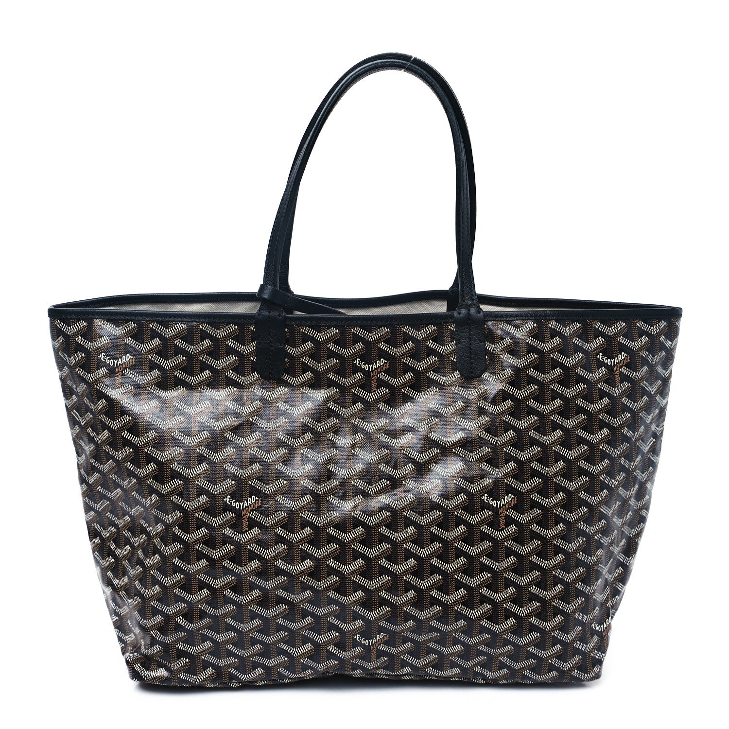 Goyard Goyardine Saint Louis PM Black 1 of 13