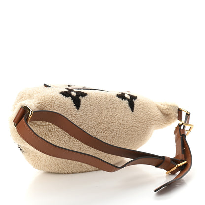 Louis Vuitton Monogram Teddy Bumbag 3 of 9