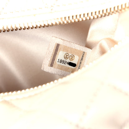 Chanel Lambskin Quilted Small Hobo Beige 8 of 12