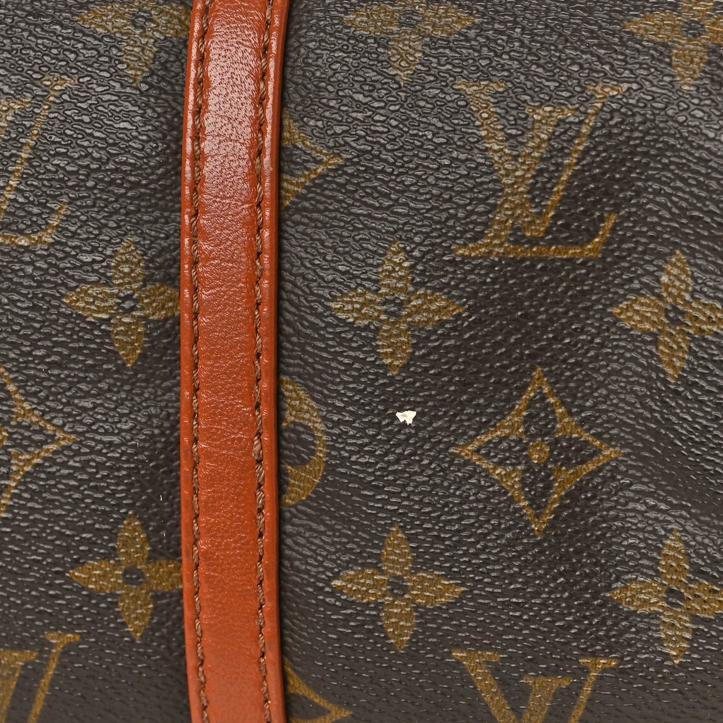 Monogram Papillon 30 with Companion