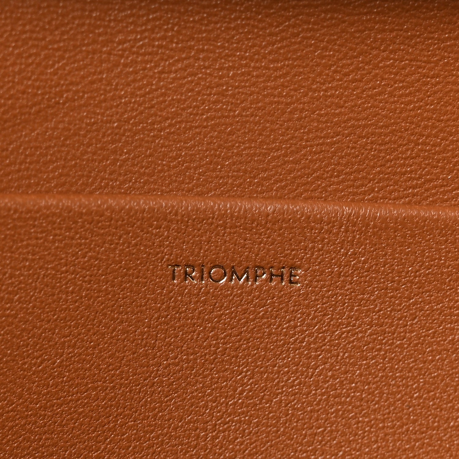 Celine Natural Calfskin Triomphe Strap Bag Tan 6 of 11
