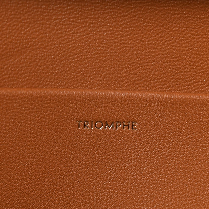 Celine Natural Calfskin Triomphe Strap Bag Tan 6 of 11