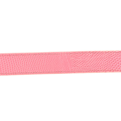Christian Dior Lizard Medium Lady Dior 14 of 15