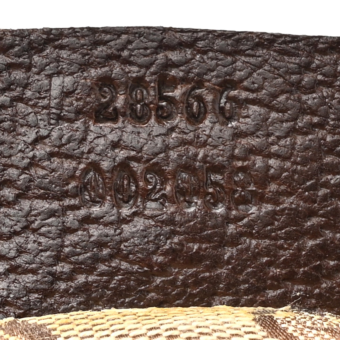 Monogram Web Belt Bag Dark Brown