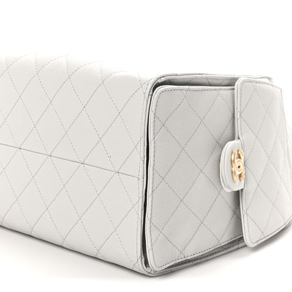 Chanel Caviar Quilted Medium Chanel 25 Handbag Light Gray 11 of 11