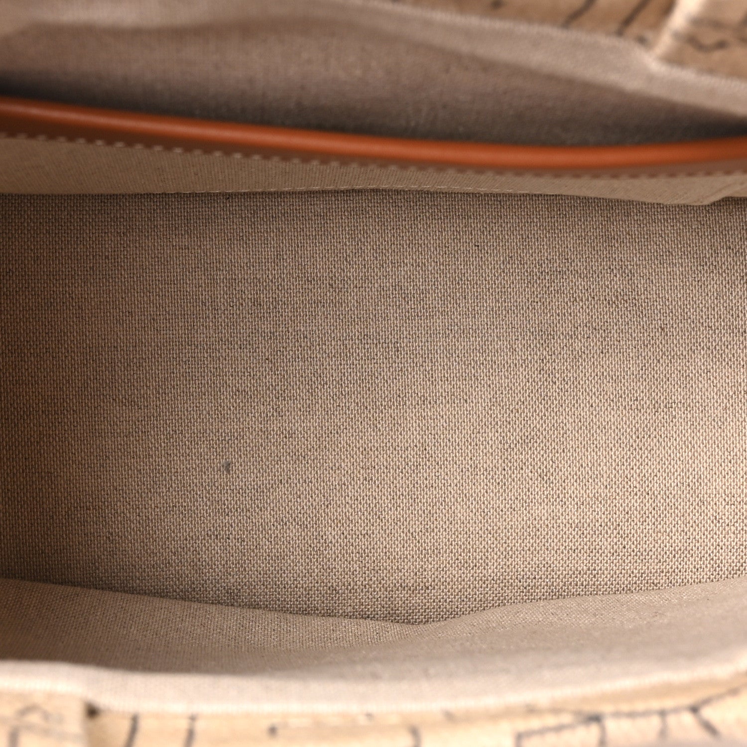 Celine Textile Calfskin All Over Print Small Triomphe Cabas Thais Natural Tan 5 of 9