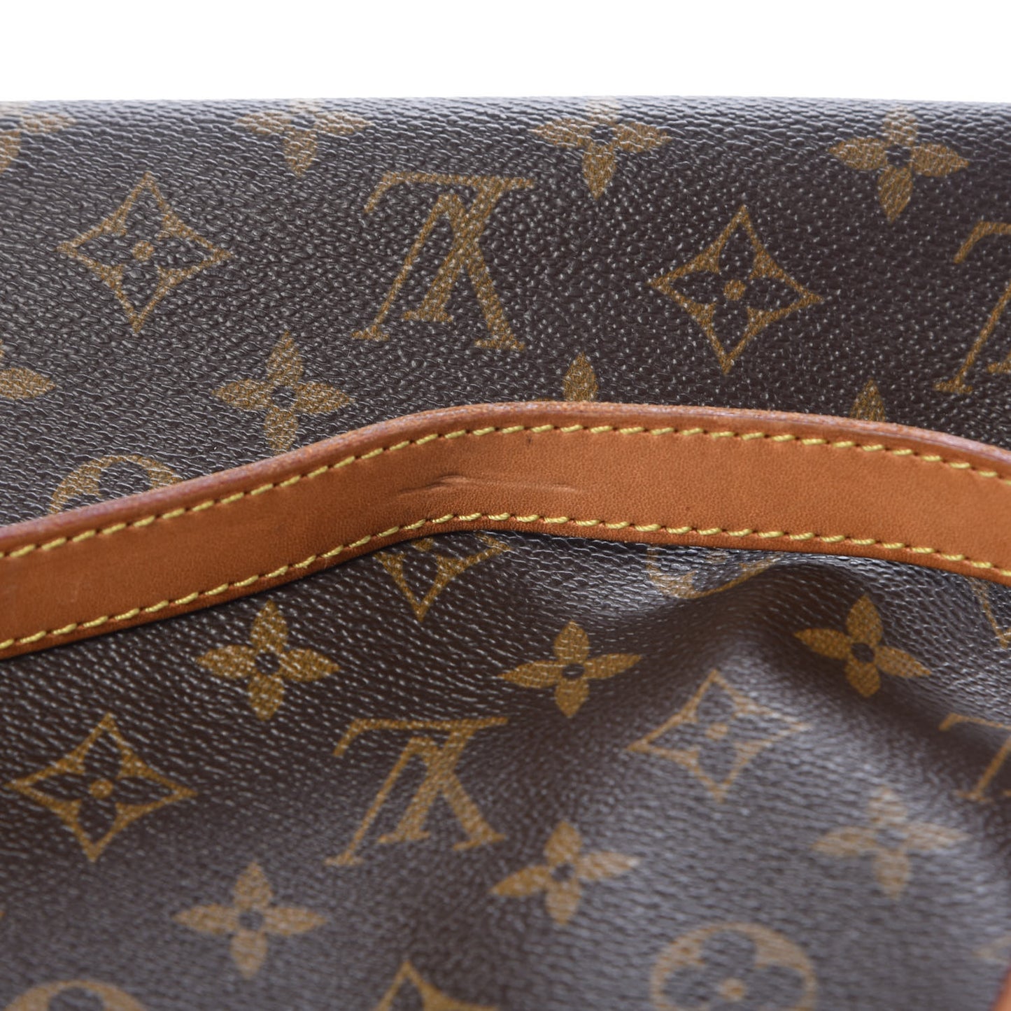 Monogram Cabas Mezzo