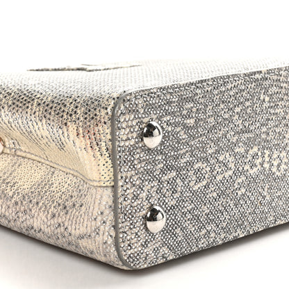 Louis Vuitton Lizard Mini Capucines Argento 8 of 10