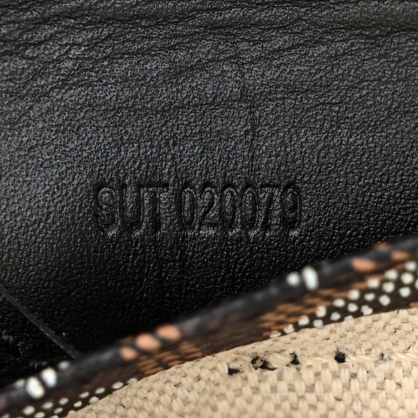 Goyardine Saint Louis Junior Jr PM Tote Black