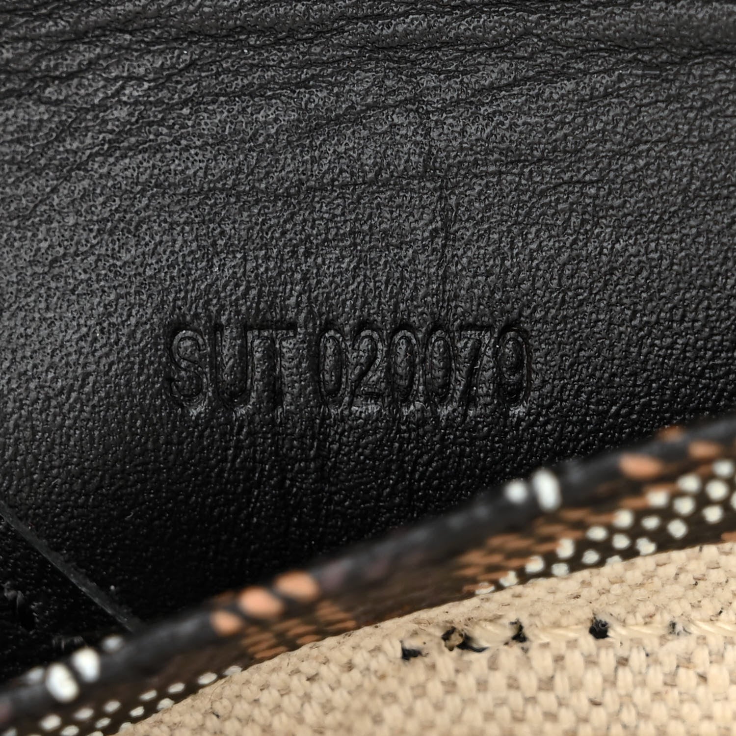 Goyard Goyardine Saint Louis Junior Jr PM Tote Black 9 of 12