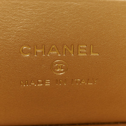 Chanel Lambskin Quilted Pearl Crush Small Vanity Case With Chain Beige 6 of 11