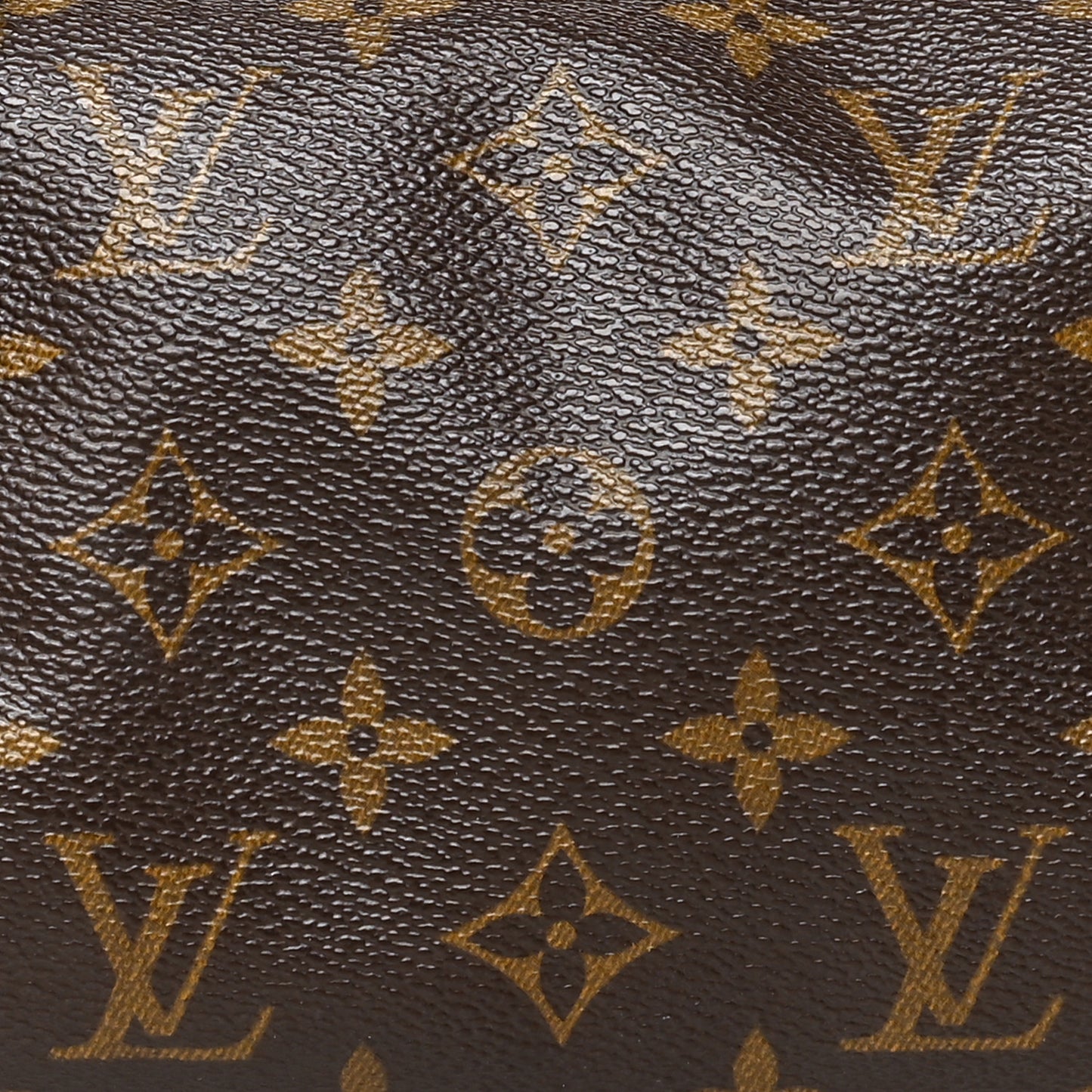 Monogram Papillon 26