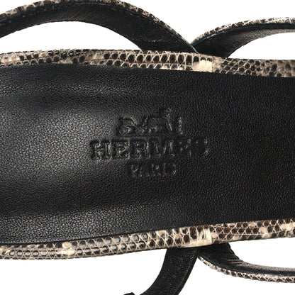 Hermes Lizard Glamour 95 Sandals 39 Ombre 8 of 9