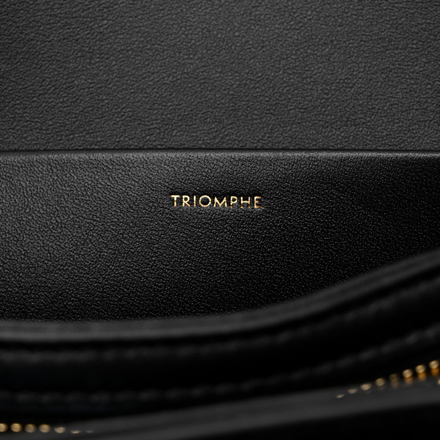 Celine Shiny Calfskin Medium Triomphe Black 7 of 11