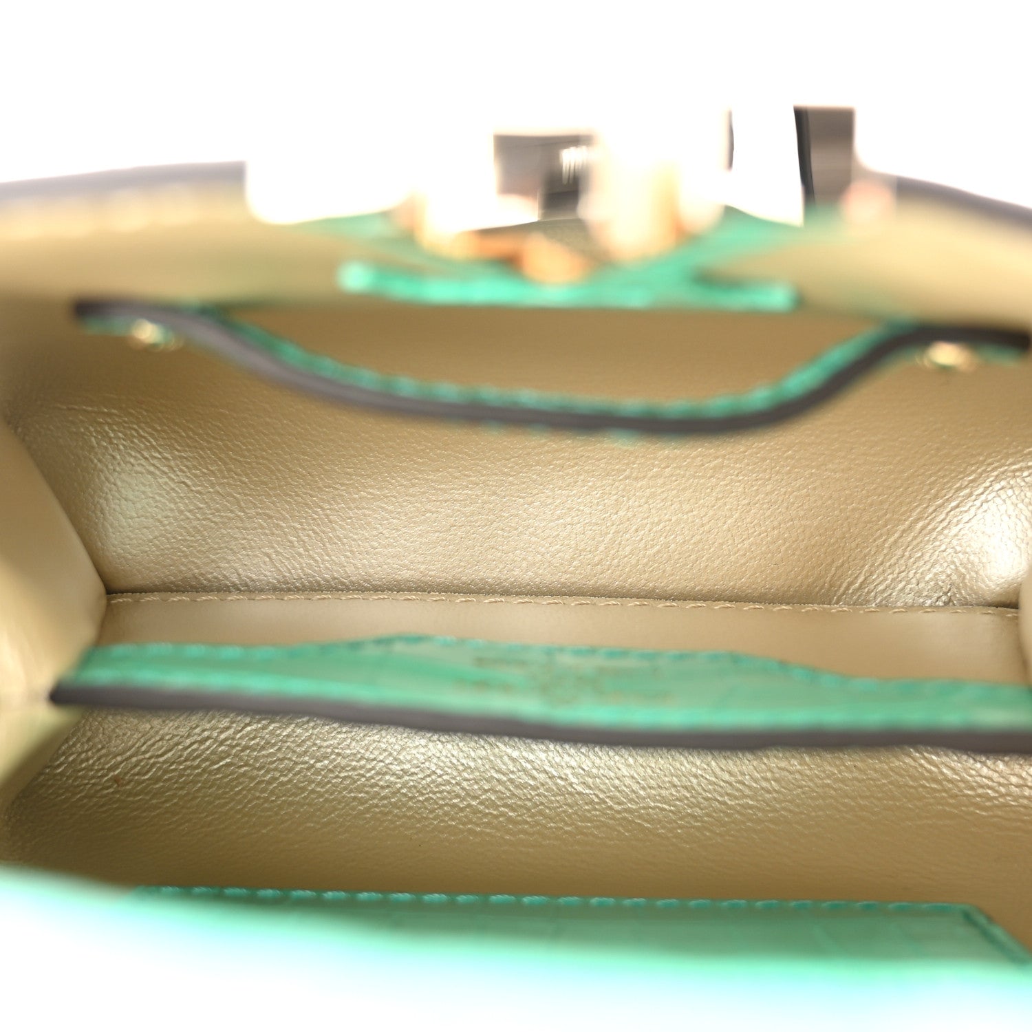 Louis Vuitton Iridescent Alligator Nano Capucines 6 of 11