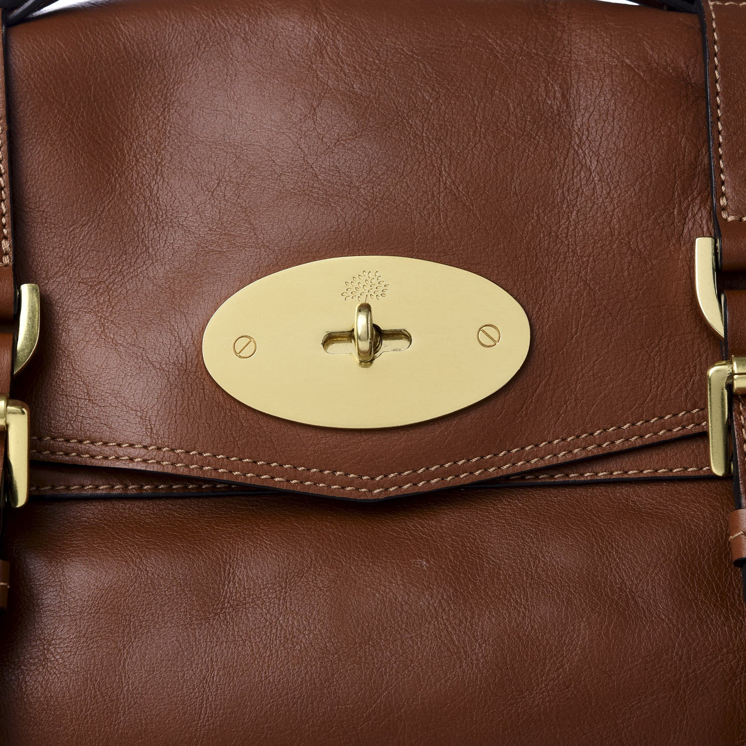 Mulberry Soft Buffalo Medium Alexa Oak 8 of 8