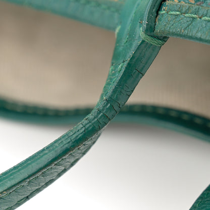Goyard Goyardine Saint Louis PM Green 12 of 13