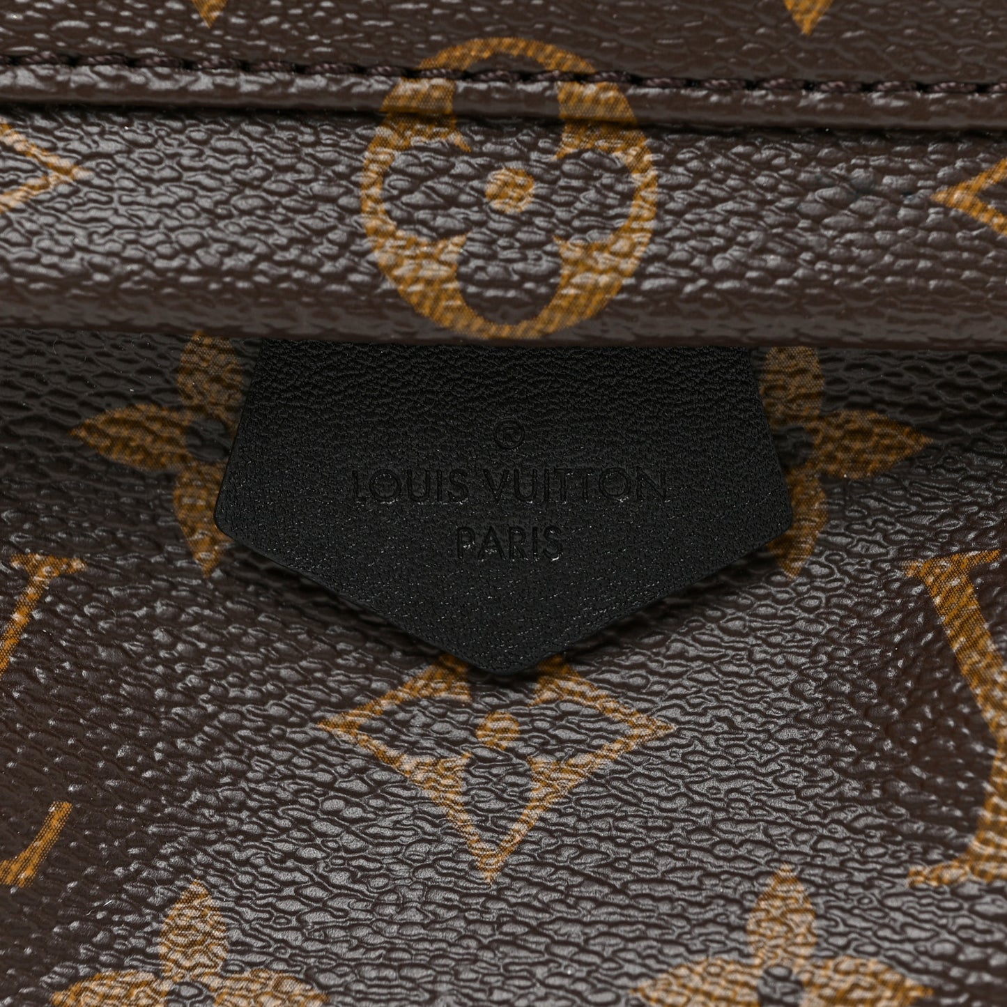 Monogram Palm Springs Backpack Mini