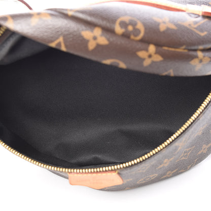 Louis Vuitton Monogram Bumbag 5 of 13
