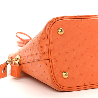 Hermes Ostrich Bolide 31 Orange 9 of 10