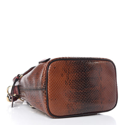Chloe Calfskin Watersnake Embossed Mini Faye Backpack Sepia Brown 4 of 14