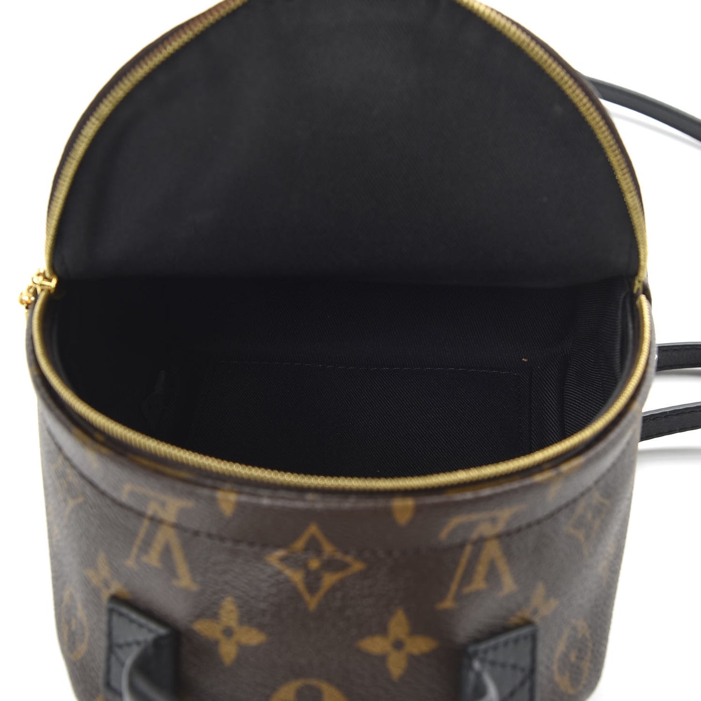 Monogram Palm Springs Backpack Mini