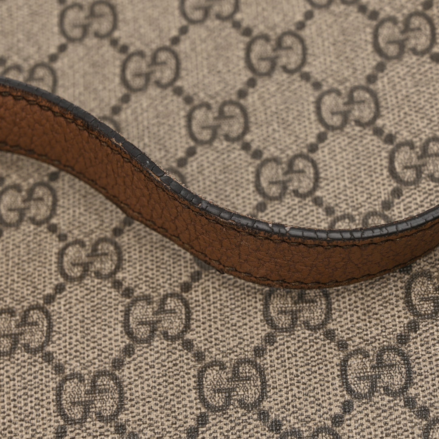 GG Supreme Monogram Web Ophidia Tote Brown