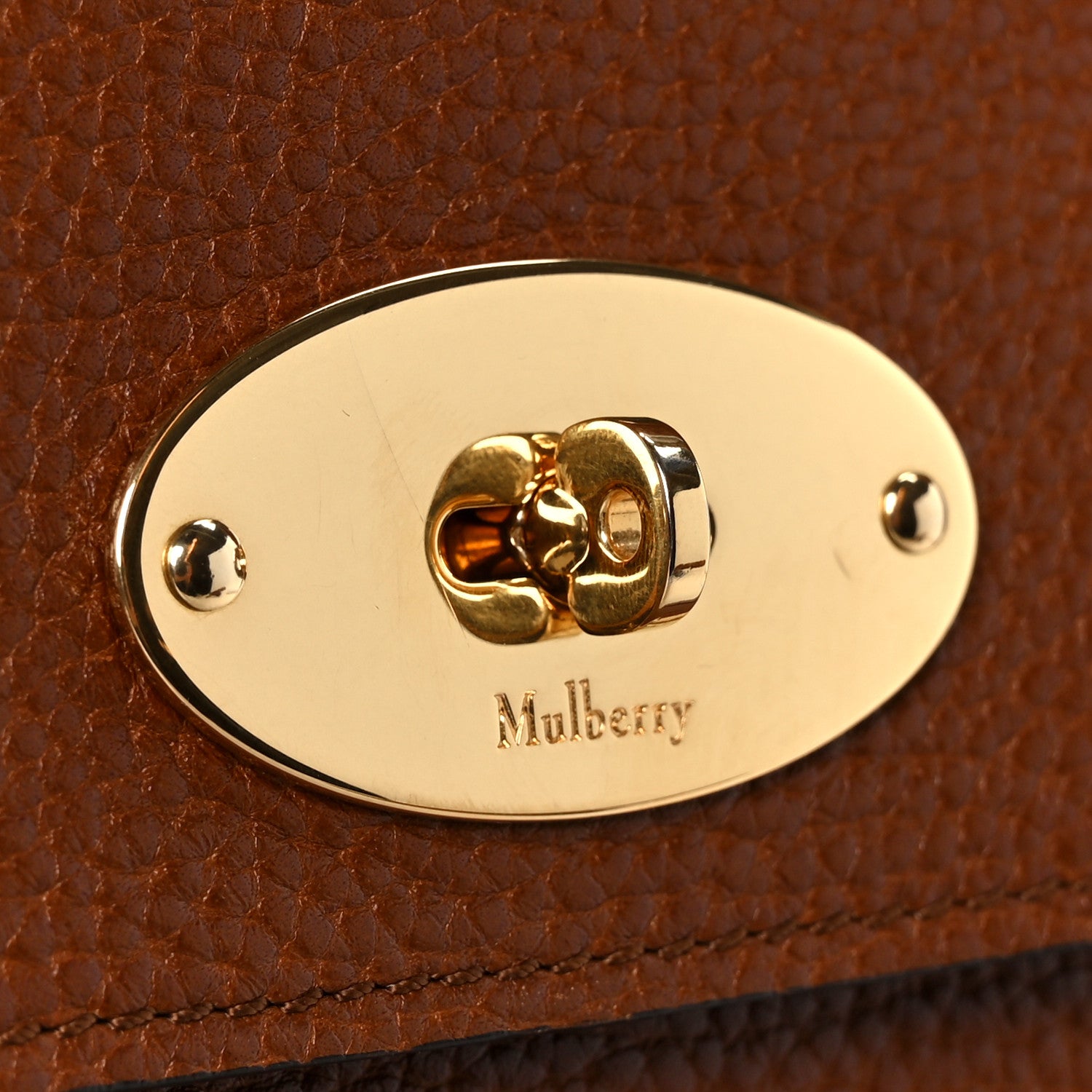 Mulberry Grain Vegetable Tanned Calfskin Bayswater Oak 9 of 13