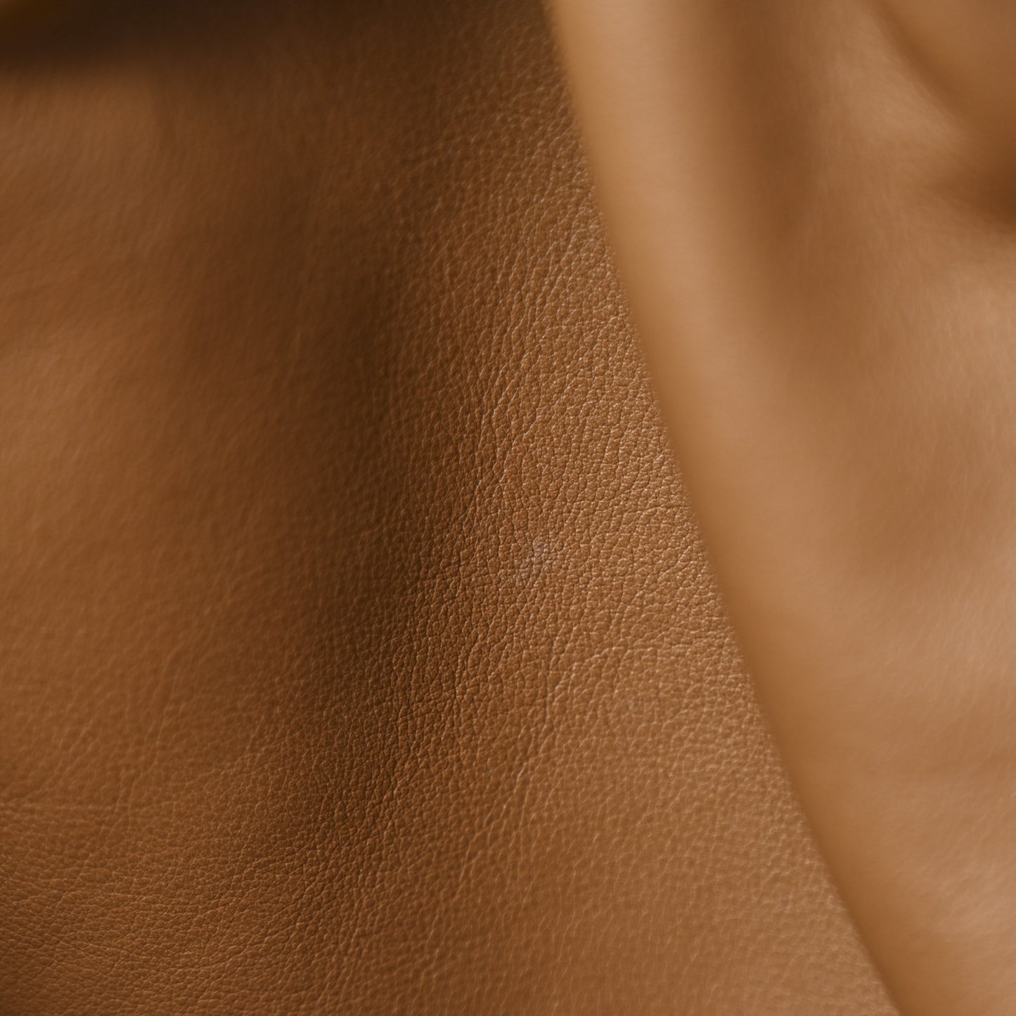 Smooth Butter Calf The Pouch Oversized Clutch Teak