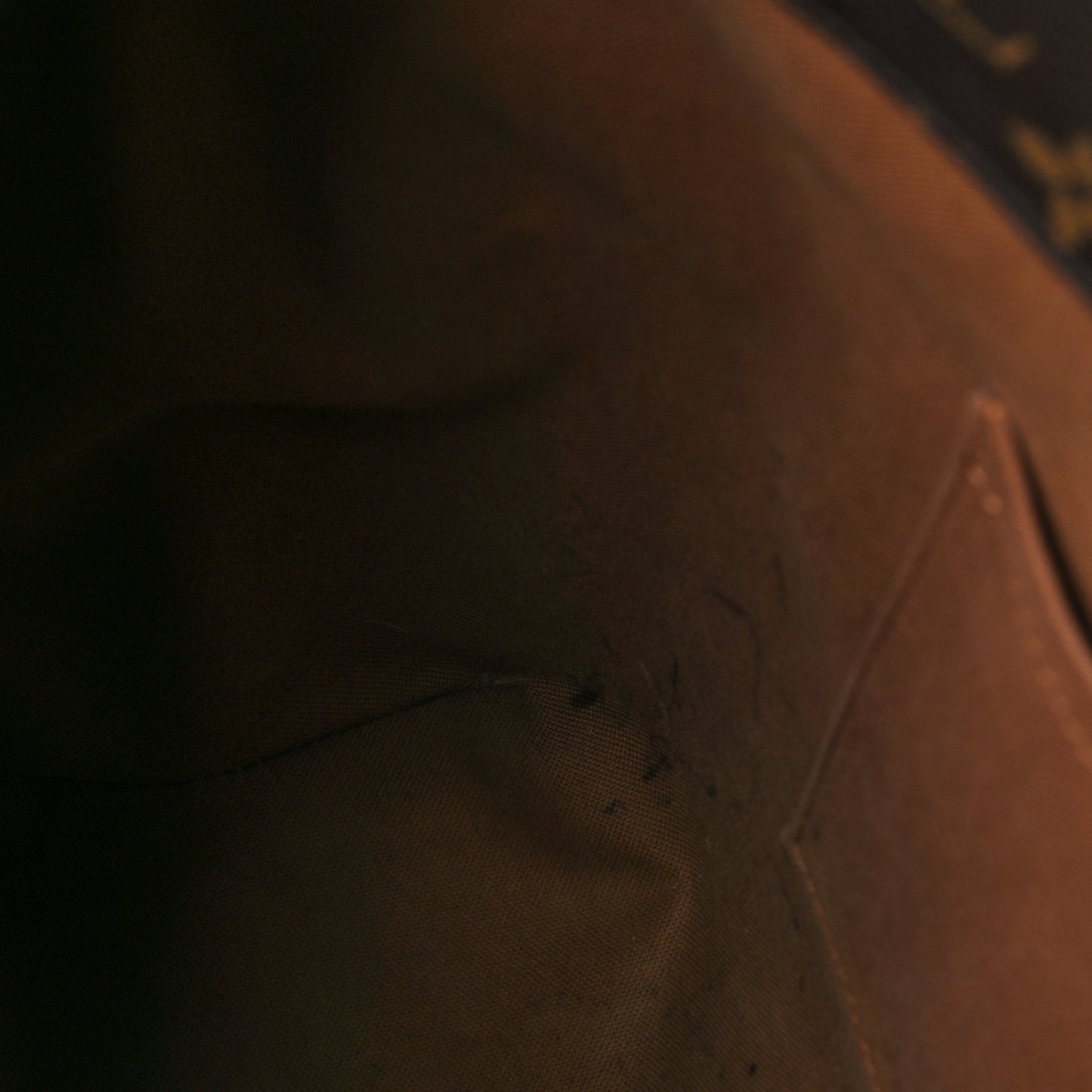 Monogram Sully MM