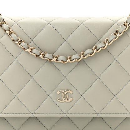 Chanel Lambskin Quilted Wallet On Chain WOC Grey 9 of 12