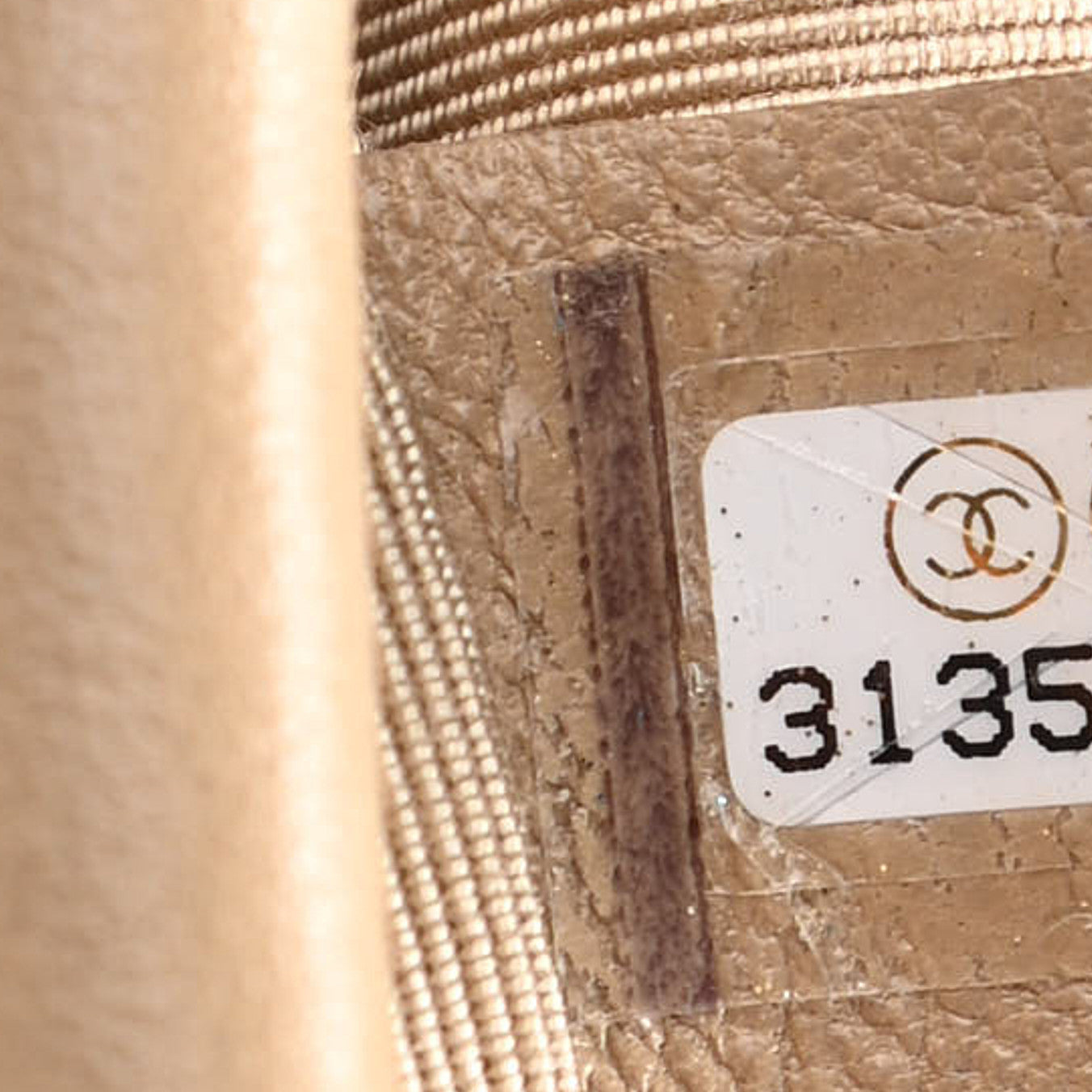 Lambskin Quilted Medium Chanel 19 Flap Dark Beige