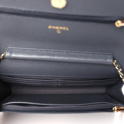 Chanel Caviar Quilted Wallet On Chain WOC Grey 5 of 12