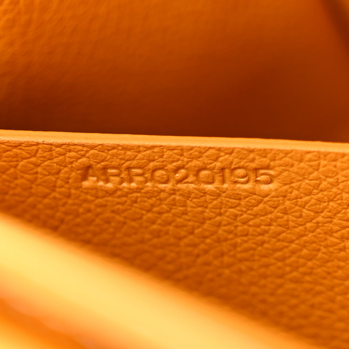 Goyard Goyardine Mini Saigon Yellow 7 of 12